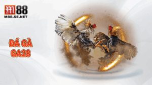 Đá gà GA28